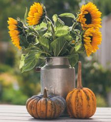 Awesome Autumn Décor Ideas for Your Home 2