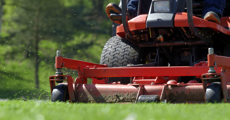 Fall Lawn Maintenance!