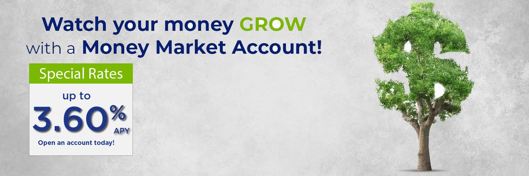 Money Market Special, Old Point National Bank