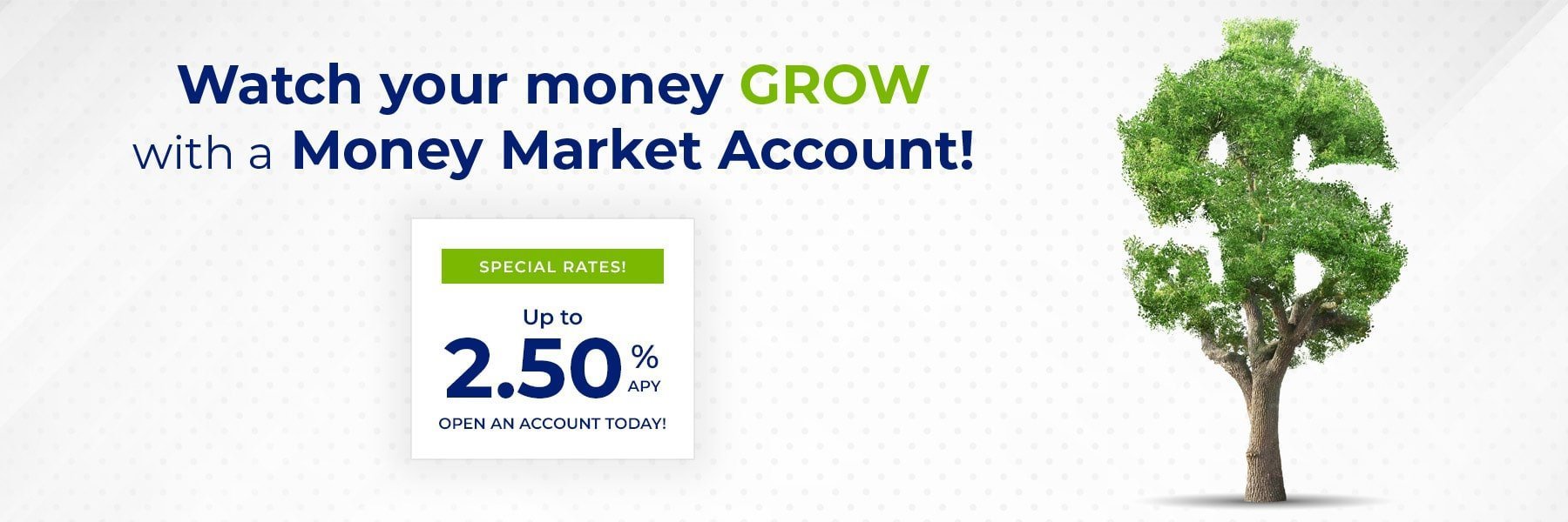 Money Market Special